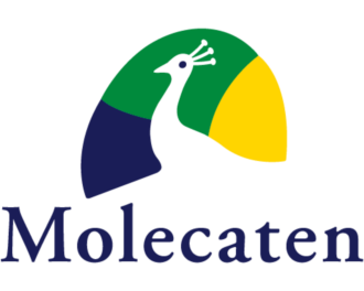 Logo Molecaten Park De Leemkule